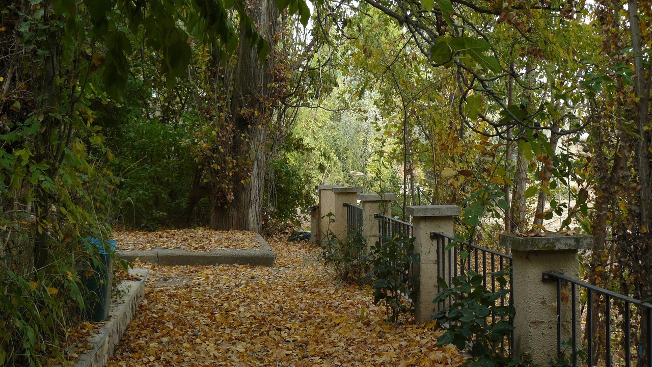 Photo of Outdoor in Ainzon