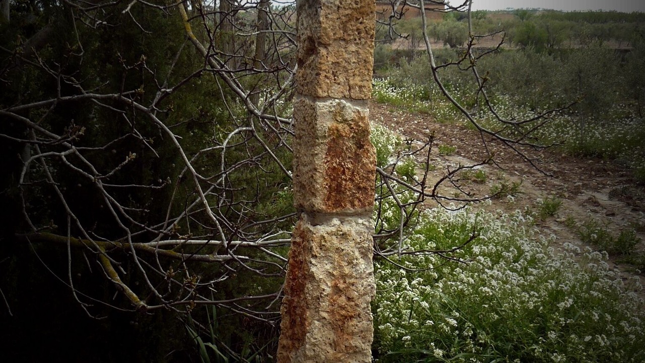Photo of Outdoor in Ainzon