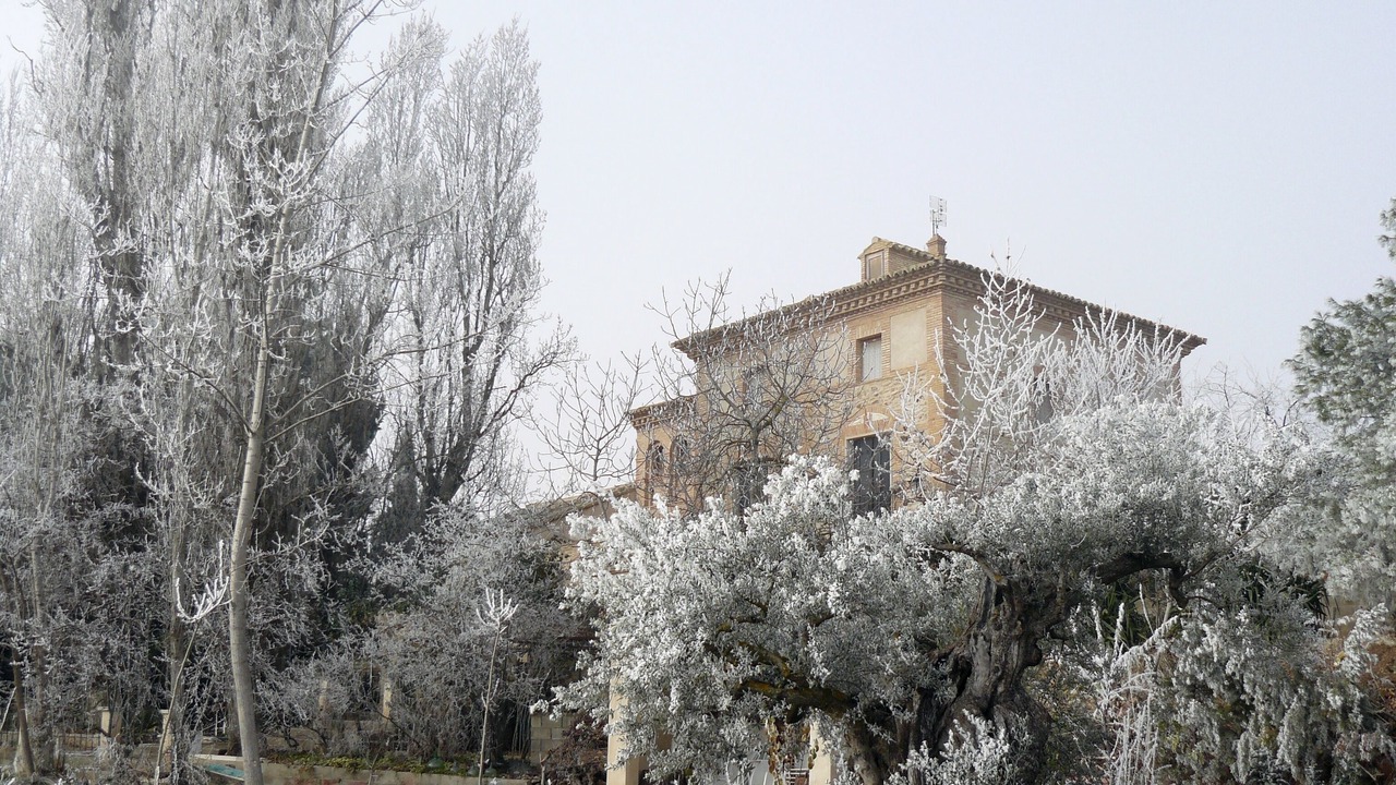 Photo of Outdoor in Ainzon