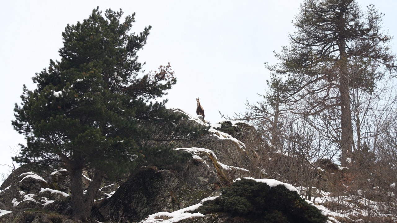 Photo of Outdoor in Peyragudes