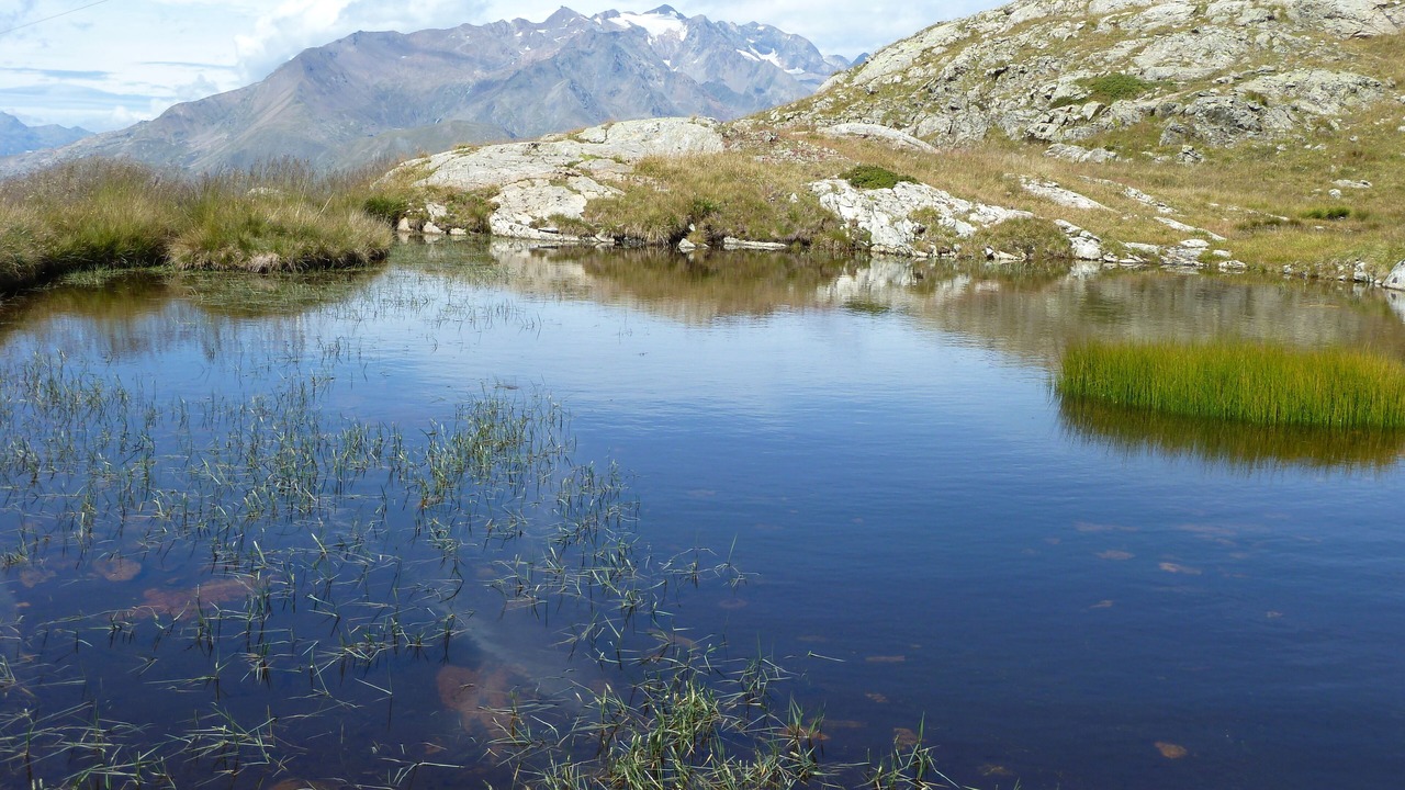 Photo of Others in Venosc