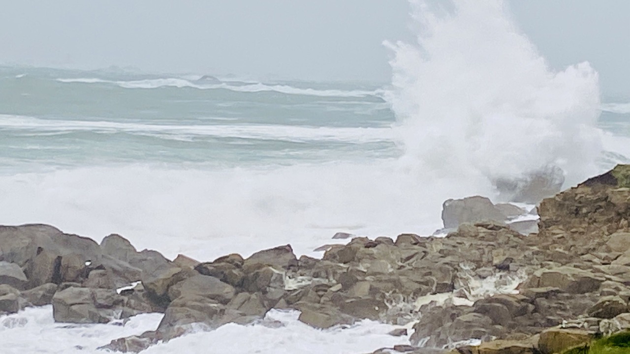 Photo of Others in Plouarzel