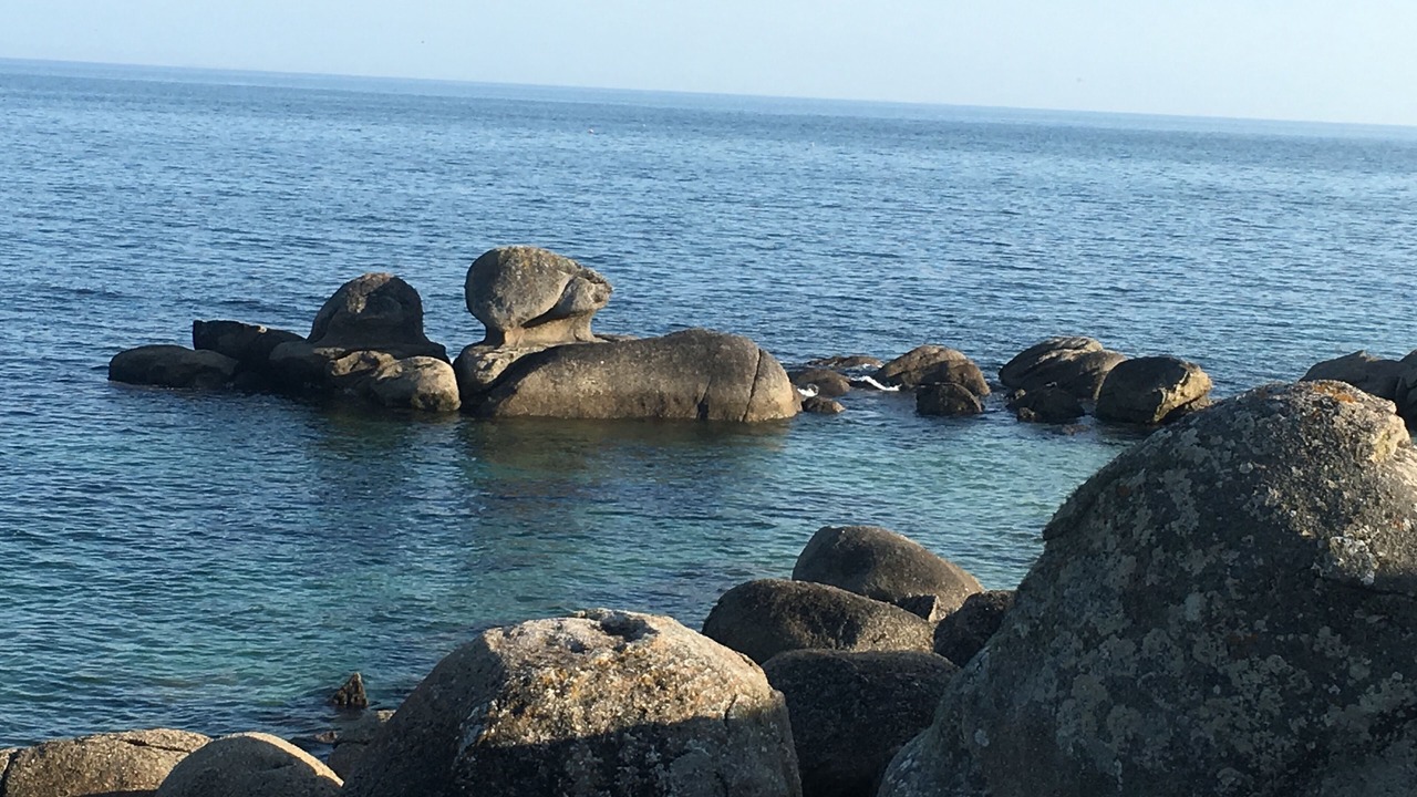 Photo of Others in Plouarzel