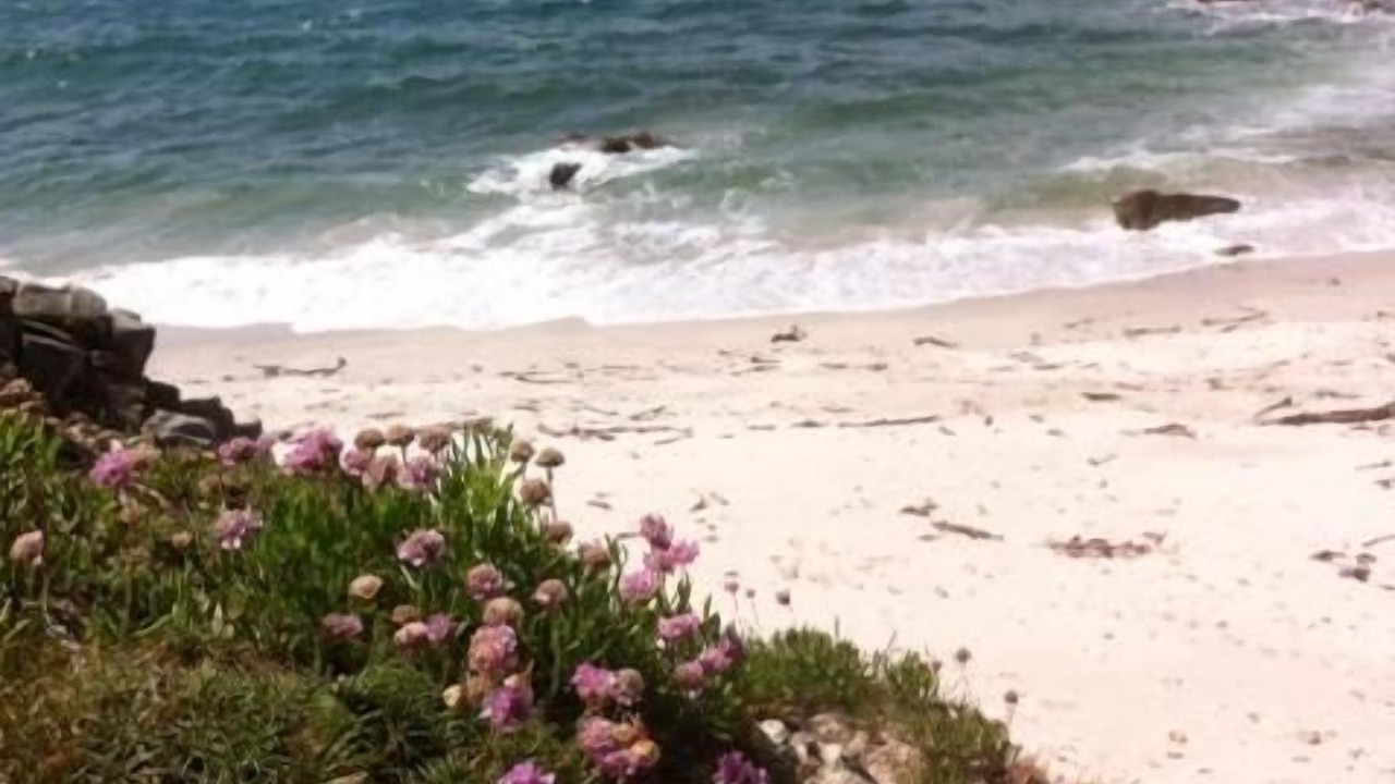 Photo of Others in Plouarzel