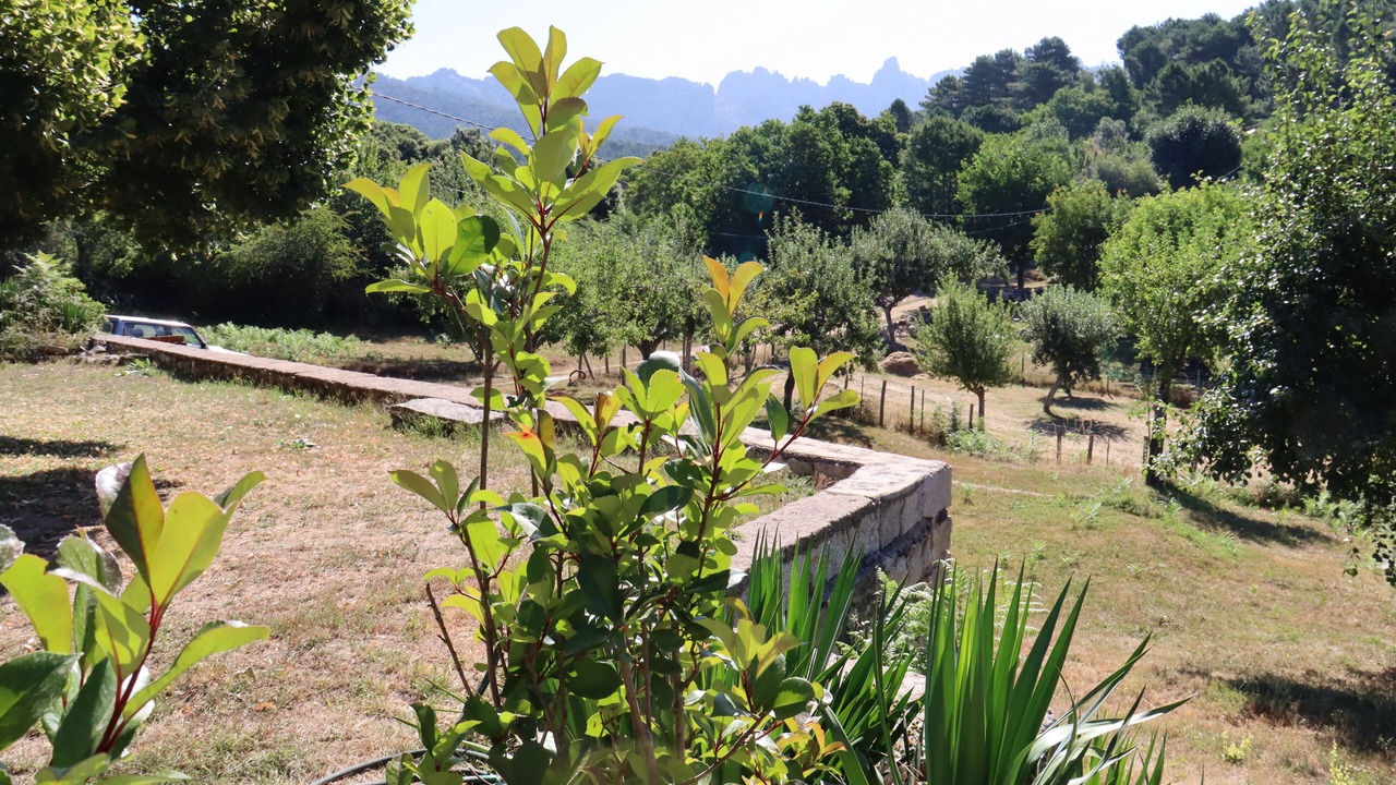 Photo of Outdoor in Zonza