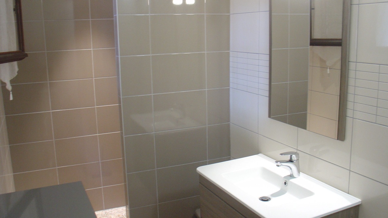 Photo of Bathroom in Zonza