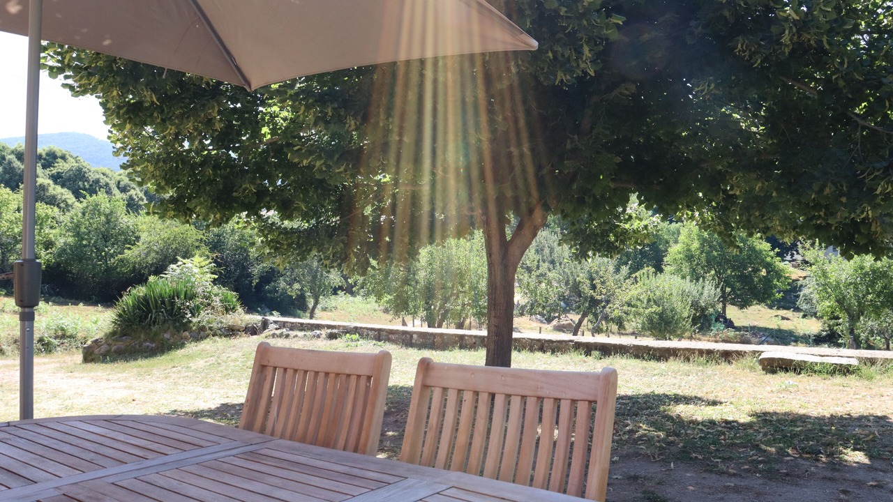 Photo of Outdoor in Zonza