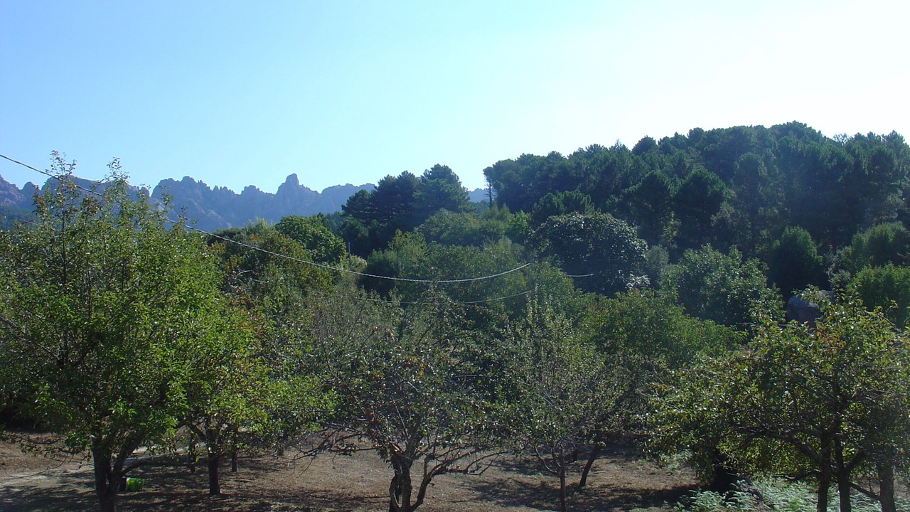 Photo of Outdoor in Zonza