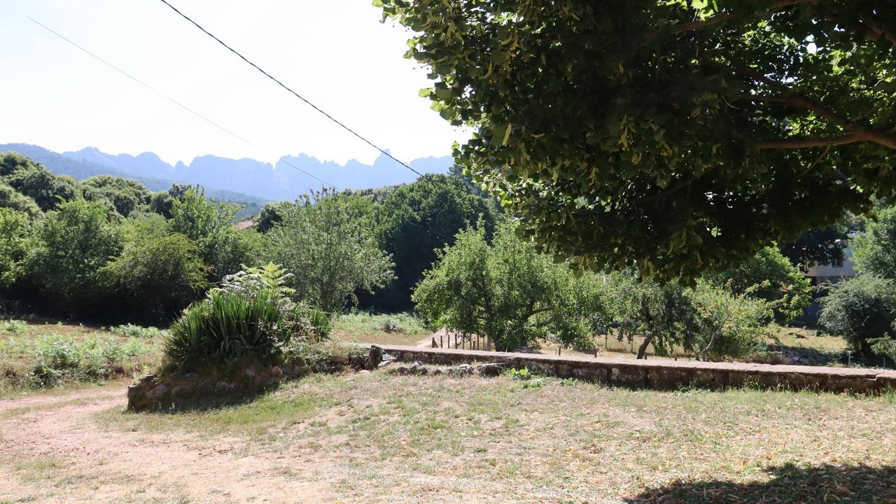 Photo of Outdoor in Zonza