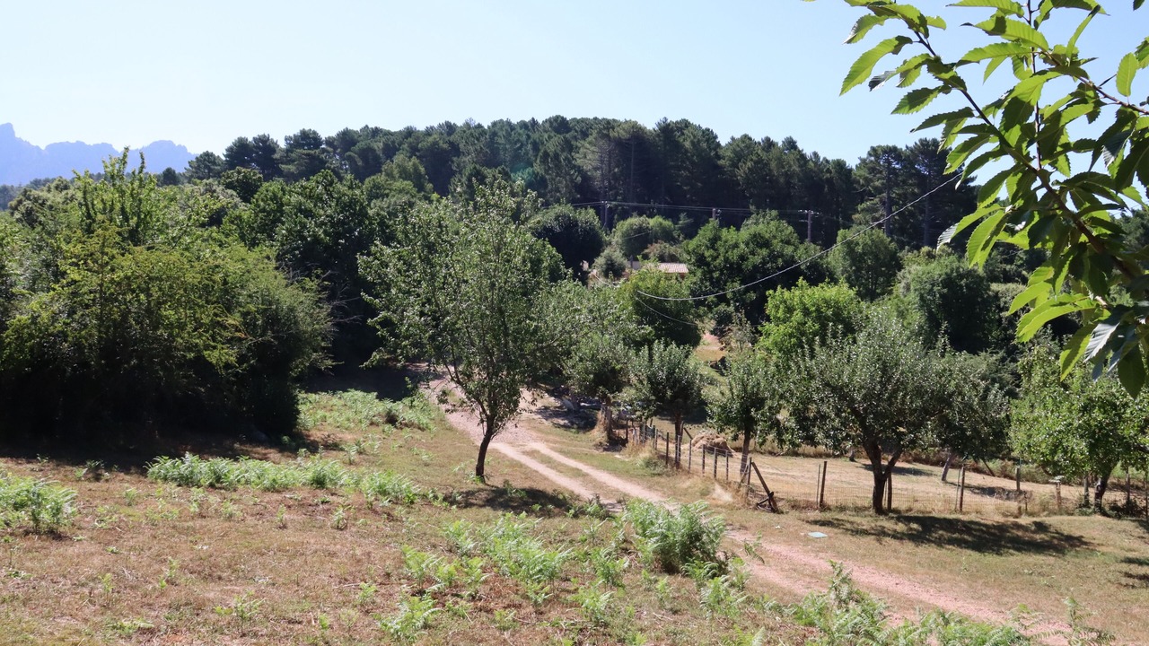 Photo of Others in Zonza