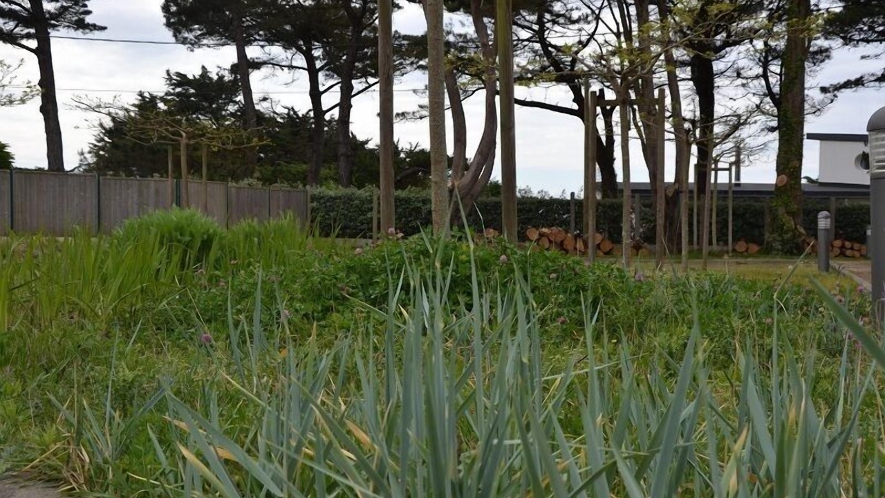 Photo of Outdoor in La Turballe