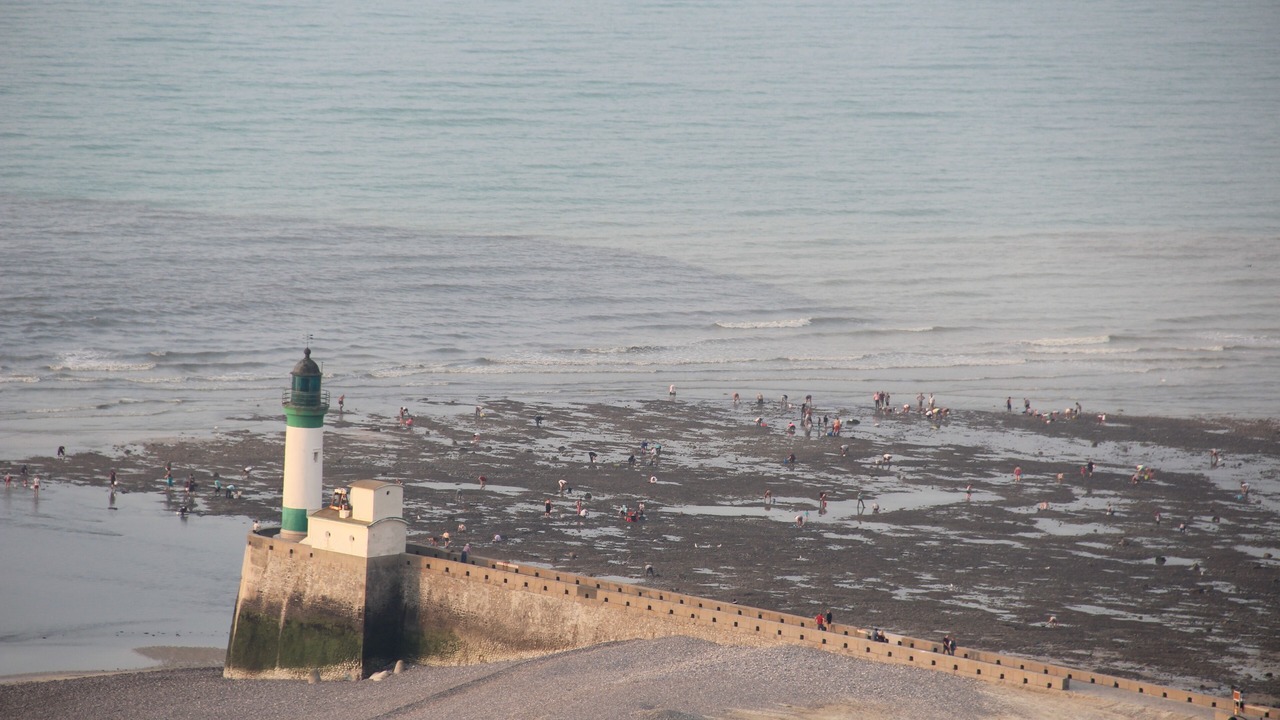 Photo of Others in Le Treport