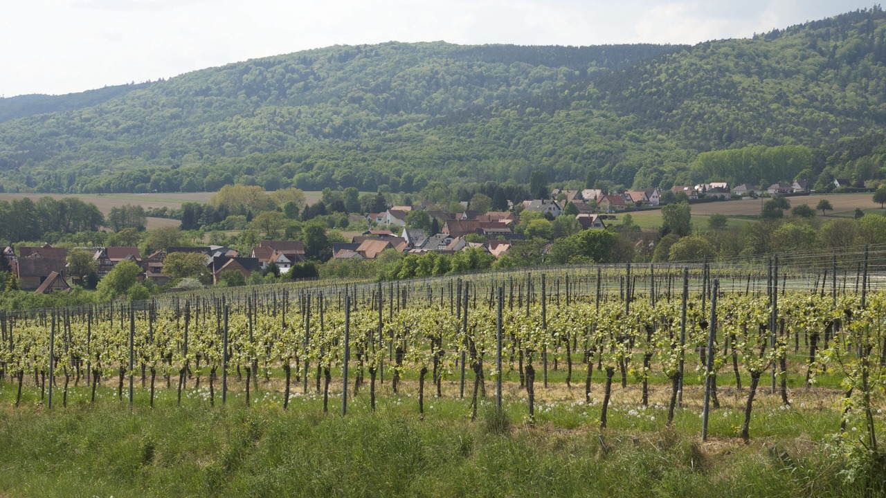 Photo of Outdoor in Cleebourg