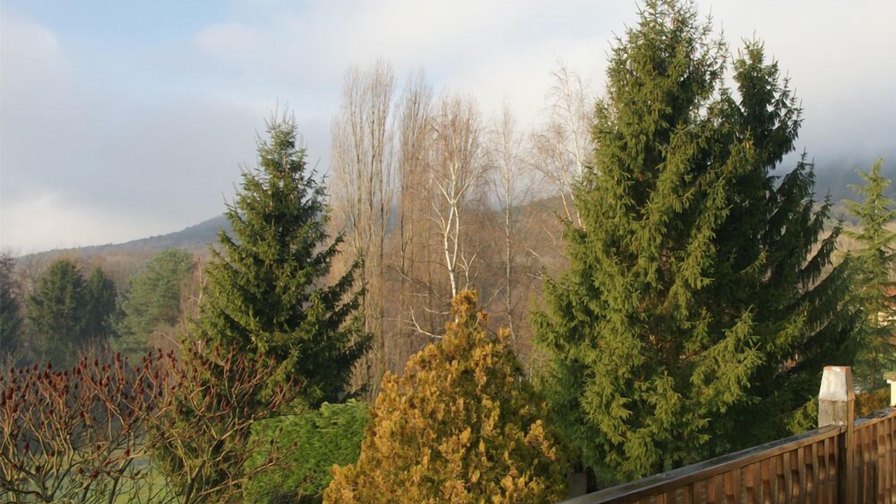 Photo of Outdoor in Cleebourg