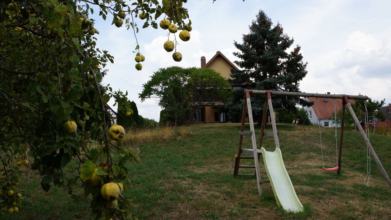 Photo of Others in Cleebourg