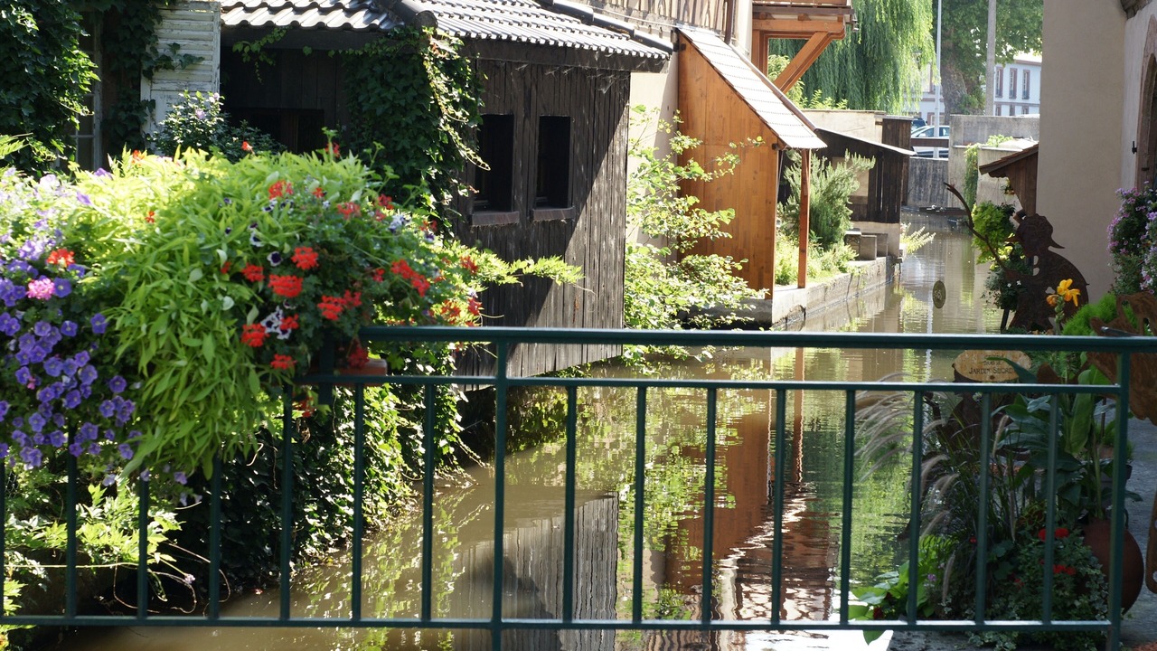 Photo of Outdoor in Cleebourg