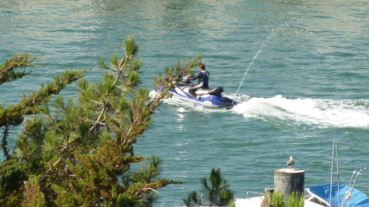 Photo of Others in Saint-Gilles-Croix-de-Vie