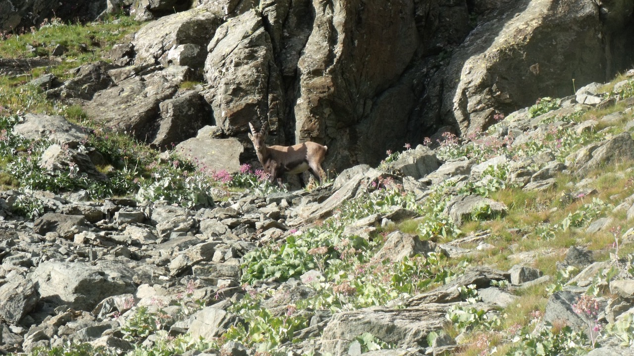 Photo of Outdoor in Vars