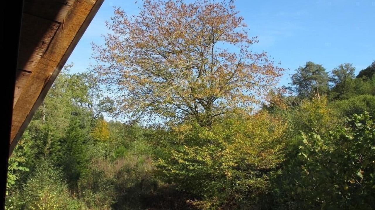 Photo of Others in Alligny-en-Morvan