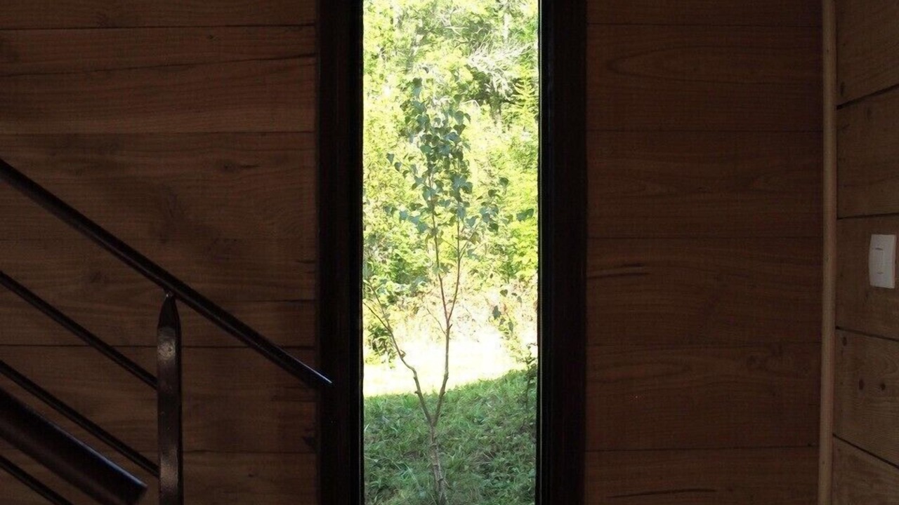 Photo of Others in Alligny-en-Morvan