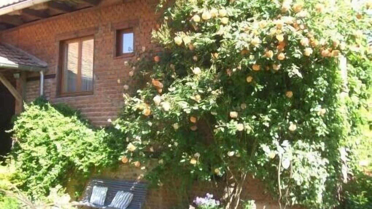 Photo of Outdoor in Mittelhausen