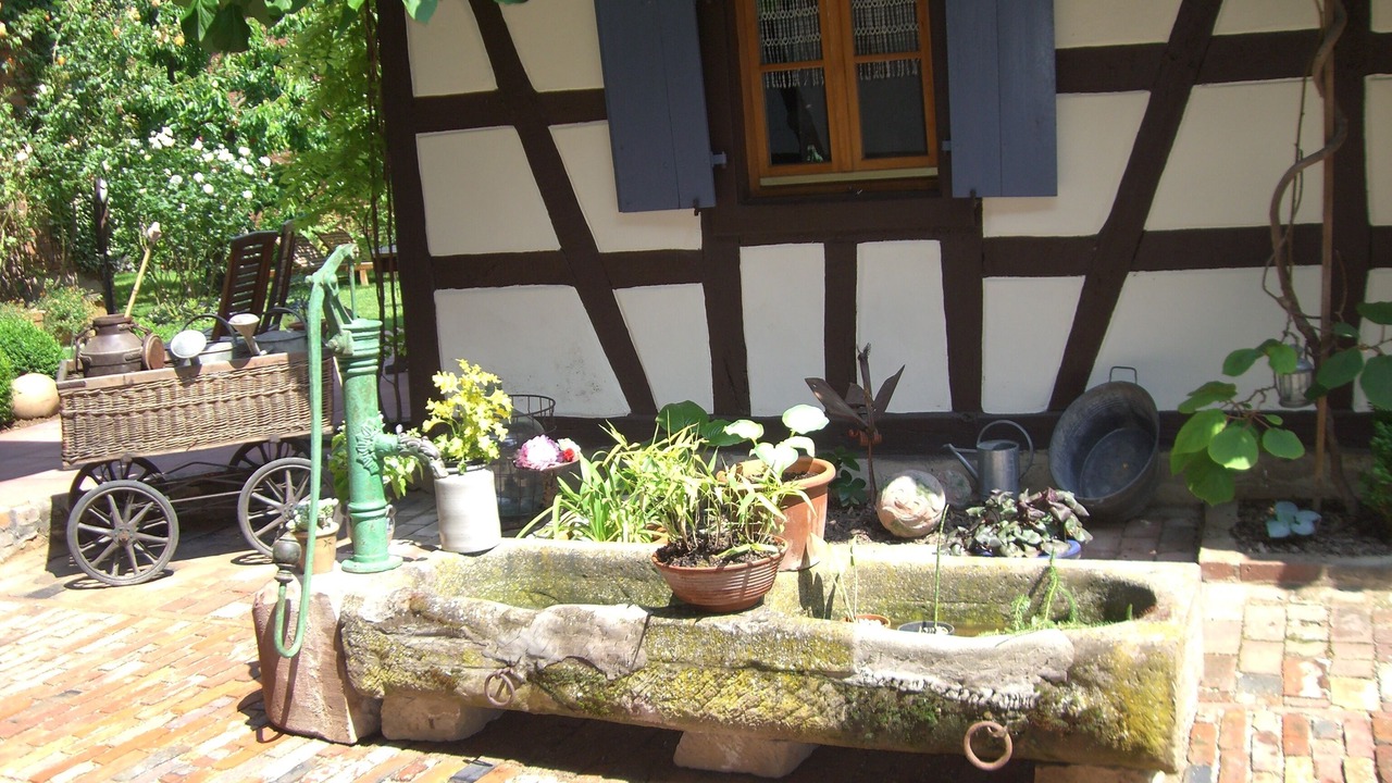 Photo of Outdoor in Mittelhausen