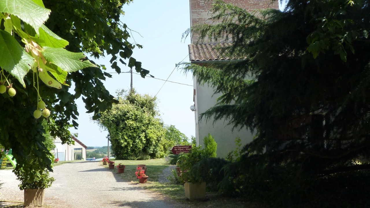 Photo of Outdoor in Durfort-Lacapelette