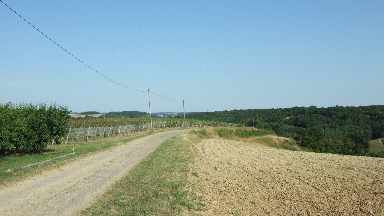 Photo of Others in Durfort-Lacapelette