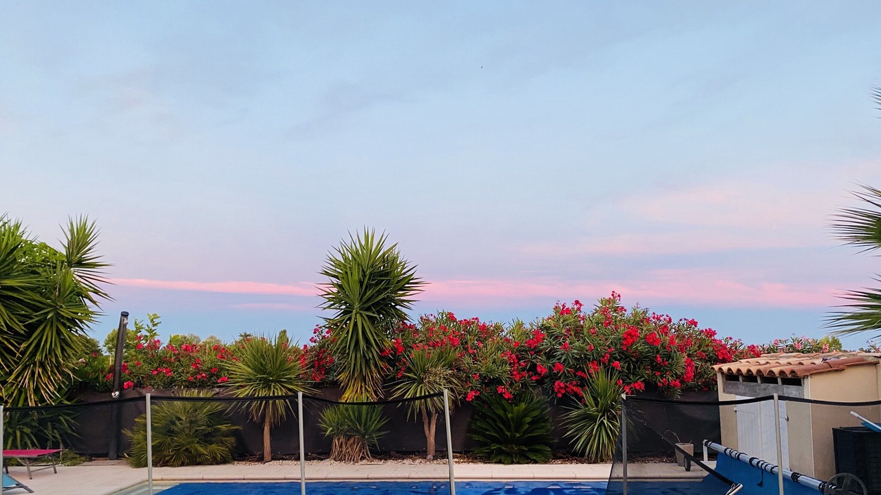 Photo of Outdoor in Mauguio
