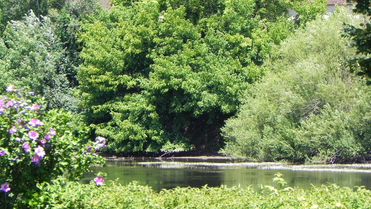 Photo of Outdoor in Bigaroque