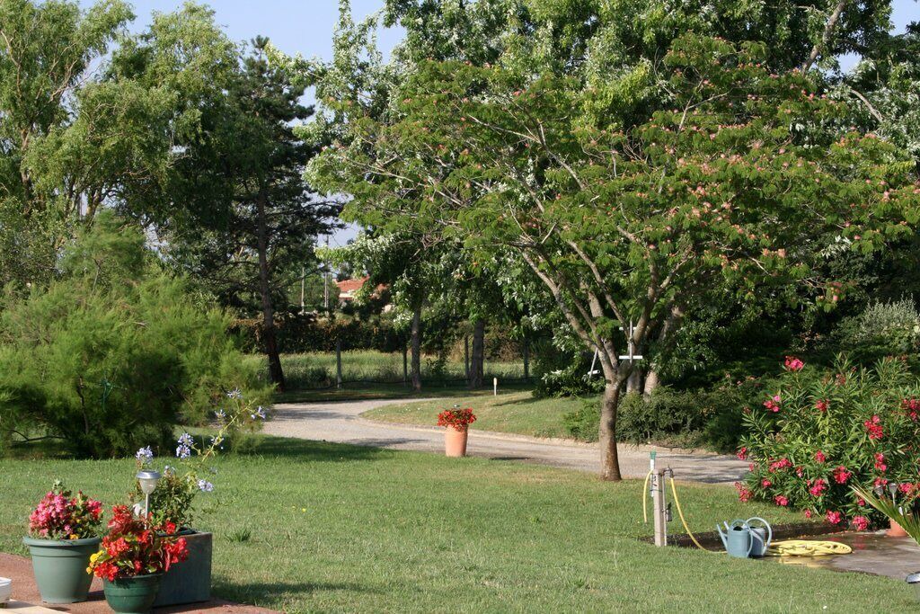 Photo of Outdoor in Aussonne