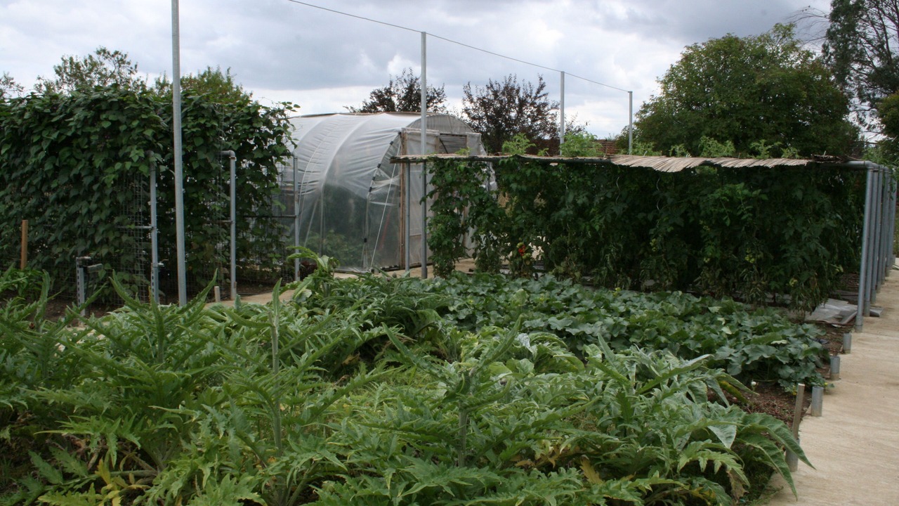 Photo of Outdoor in Aussonne