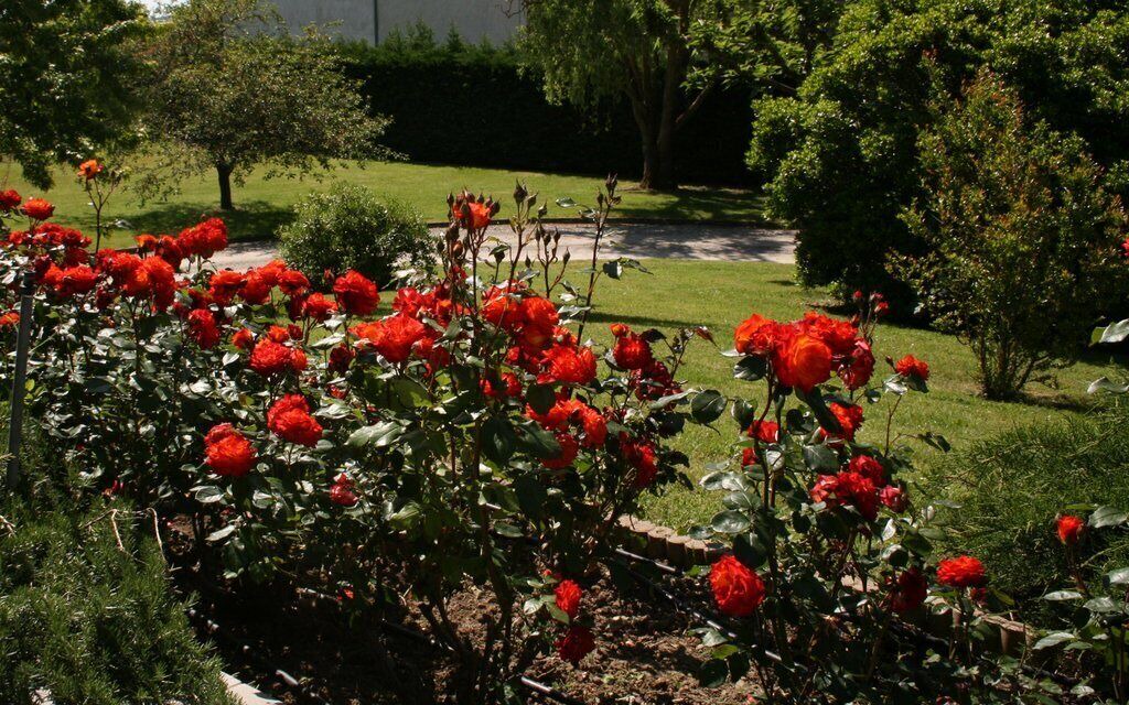 Photo of Outdoor in Aussonne