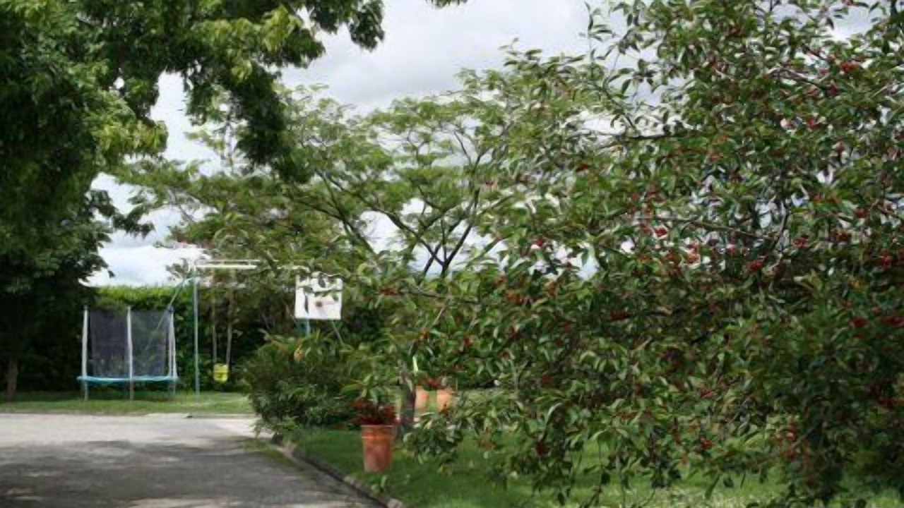 Photo of Outdoor in Aussonne