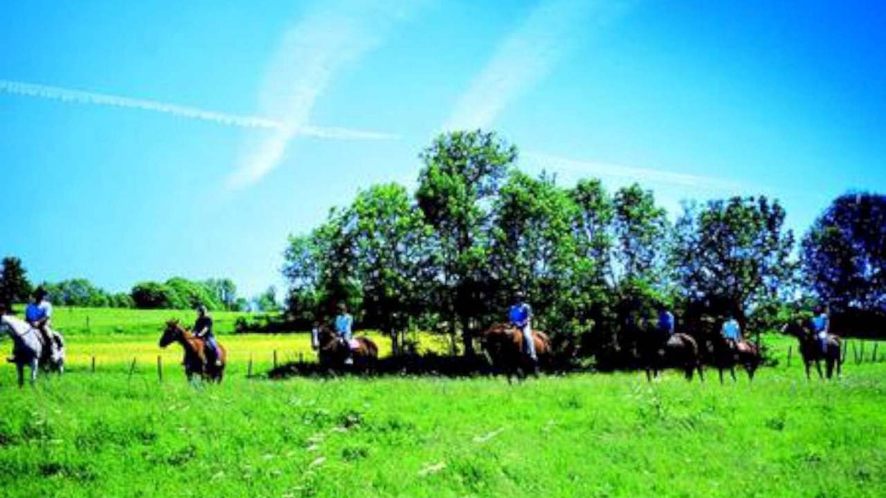Photo of Others in Marigny
