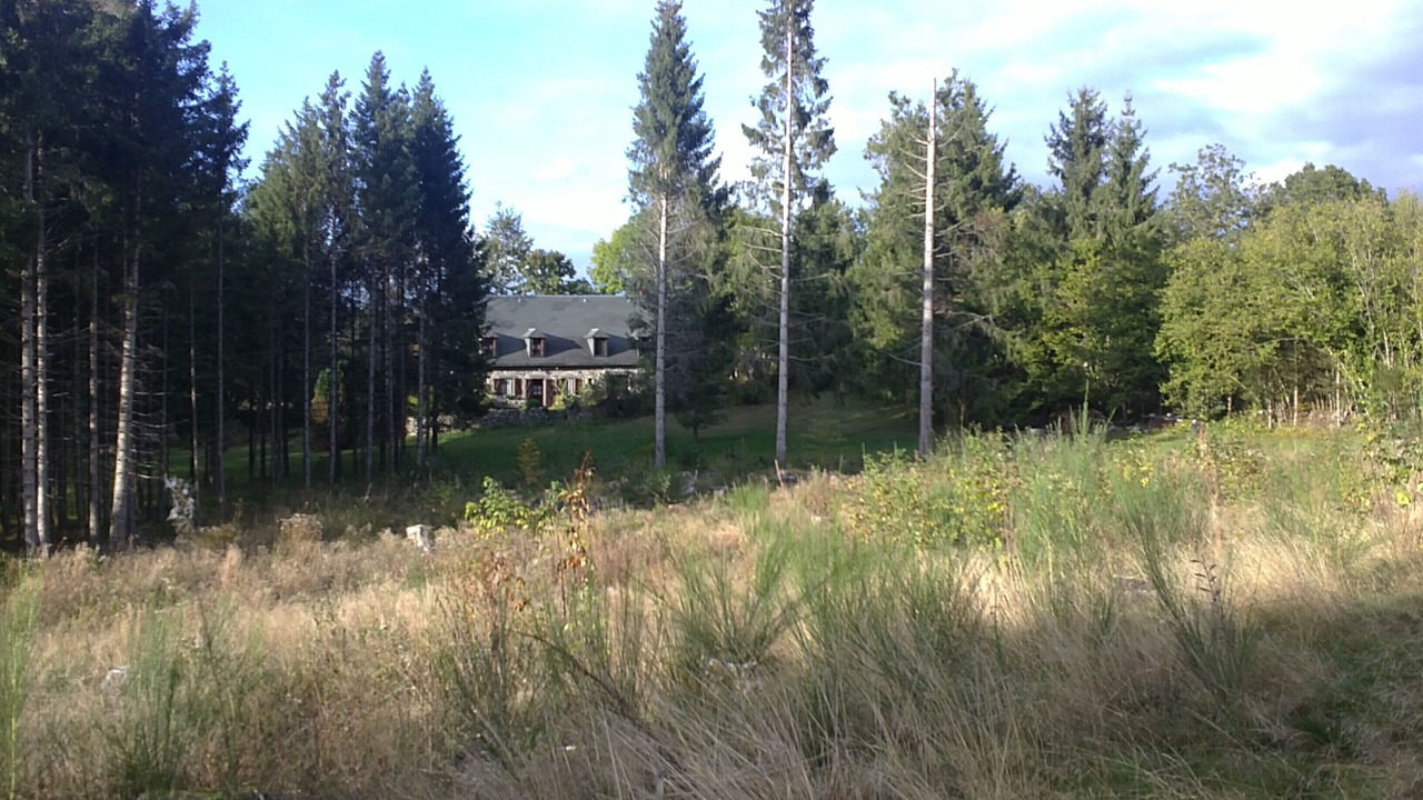 Photo of Outdoor in Saint-Donat