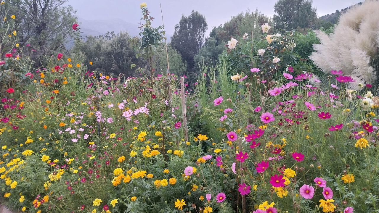 Photo of Outdoor in Calacuccia