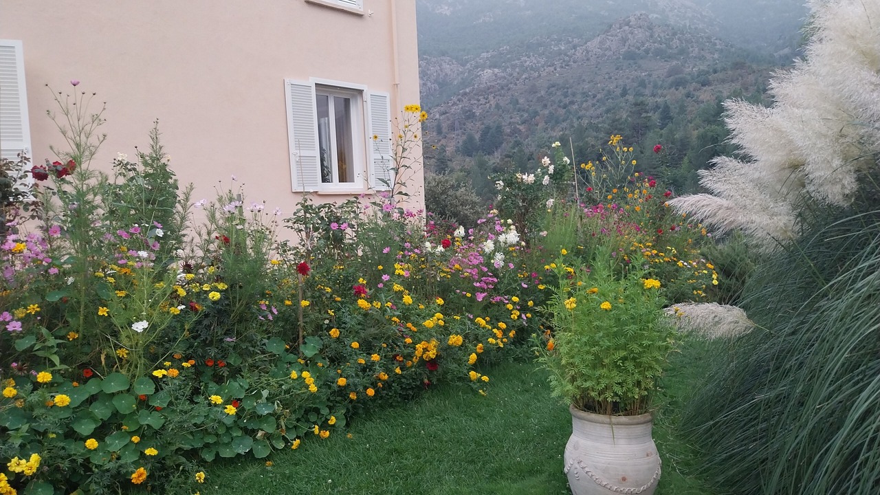 Photo of Outdoor in Calacuccia