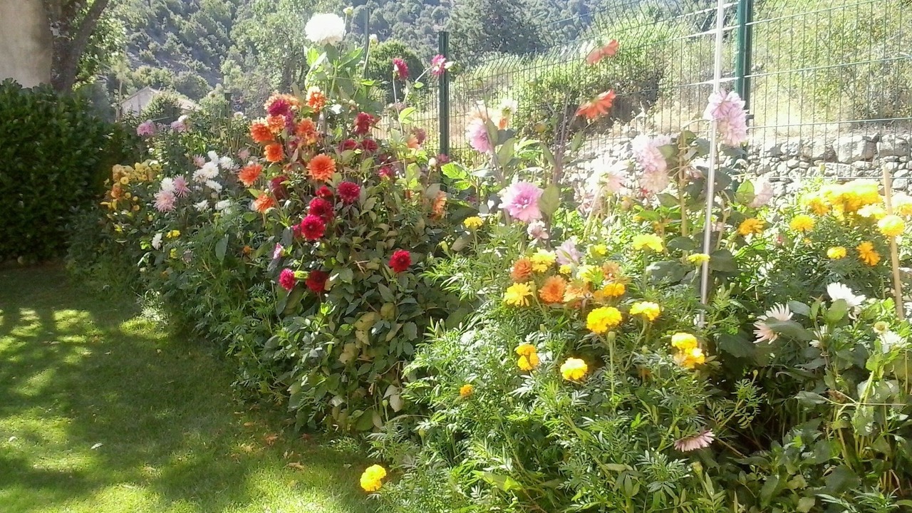 Photo of Outdoor in Calacuccia