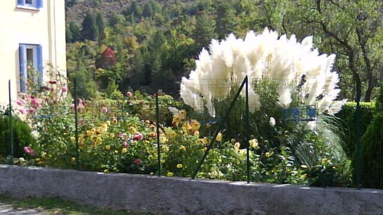 Photo of Outdoor in Calacuccia