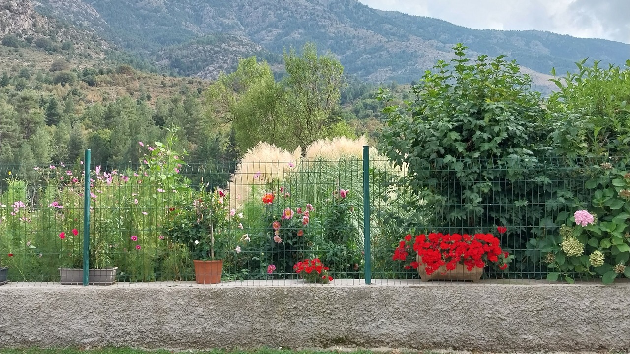 Photo of Outdoor in Calacuccia