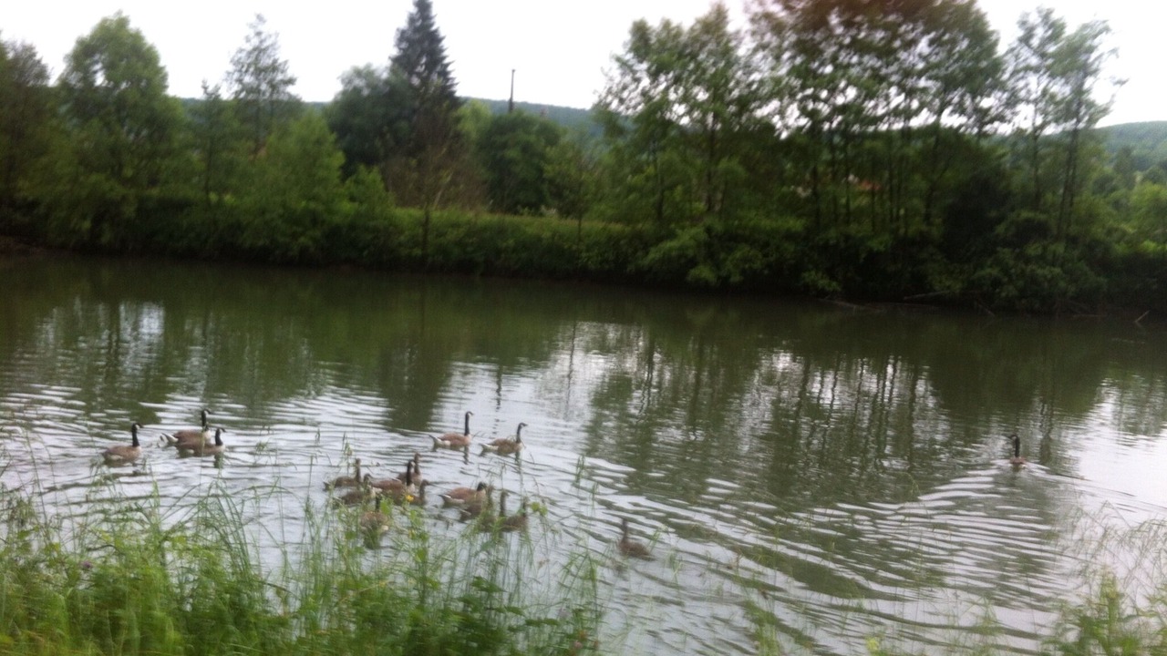 Photo of Outdoor in Vallees et Plateau d'Ardenne