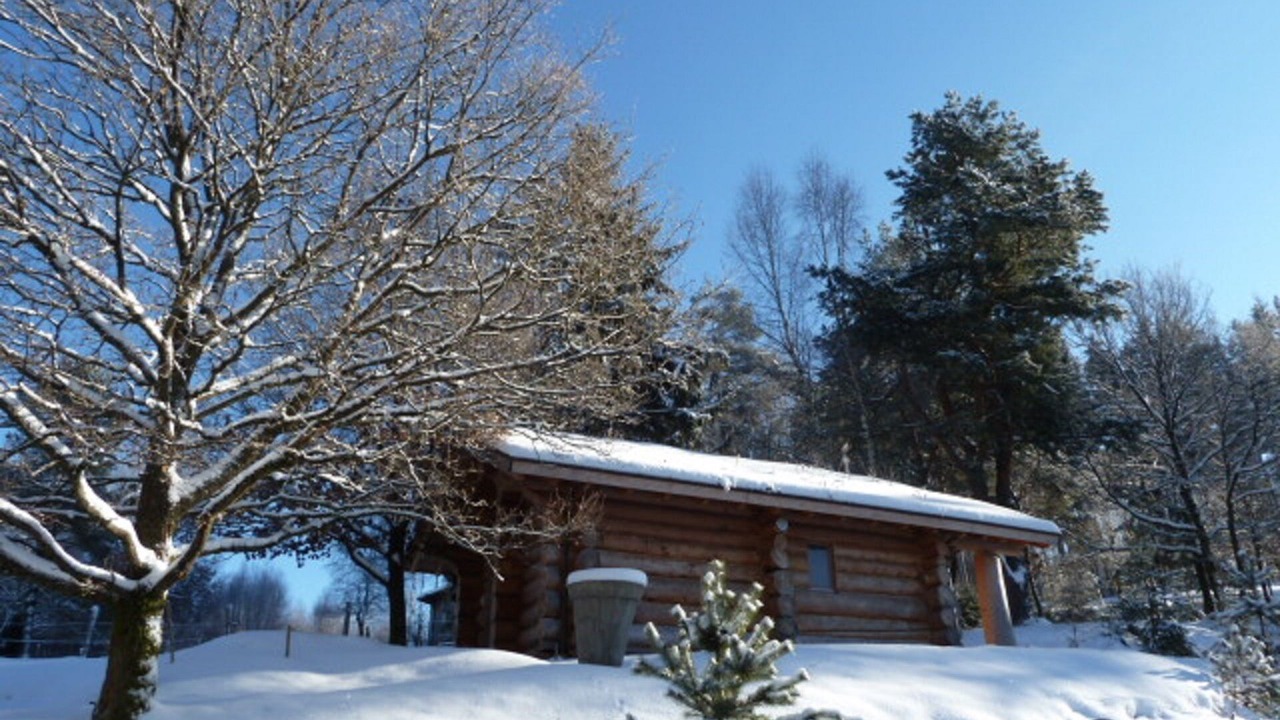 Photo of Outdoor in Saulxures