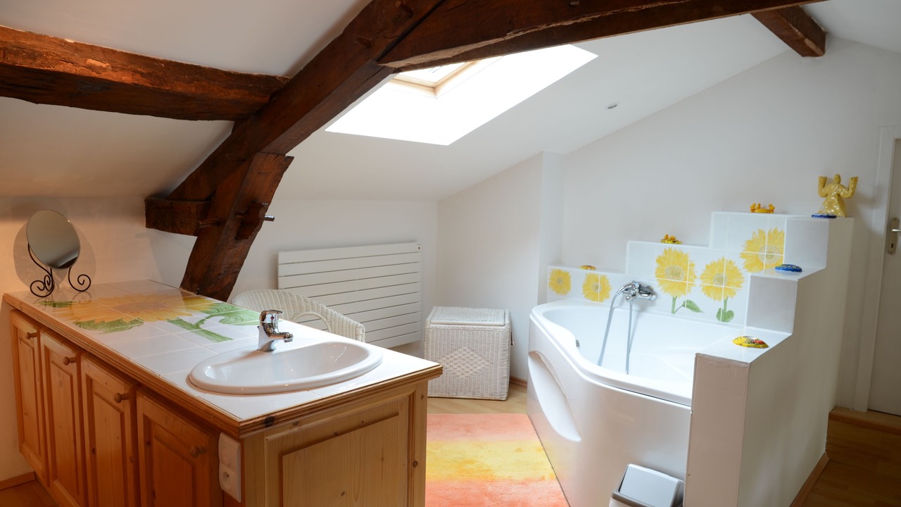 Photo of Bathroom in Plaisance