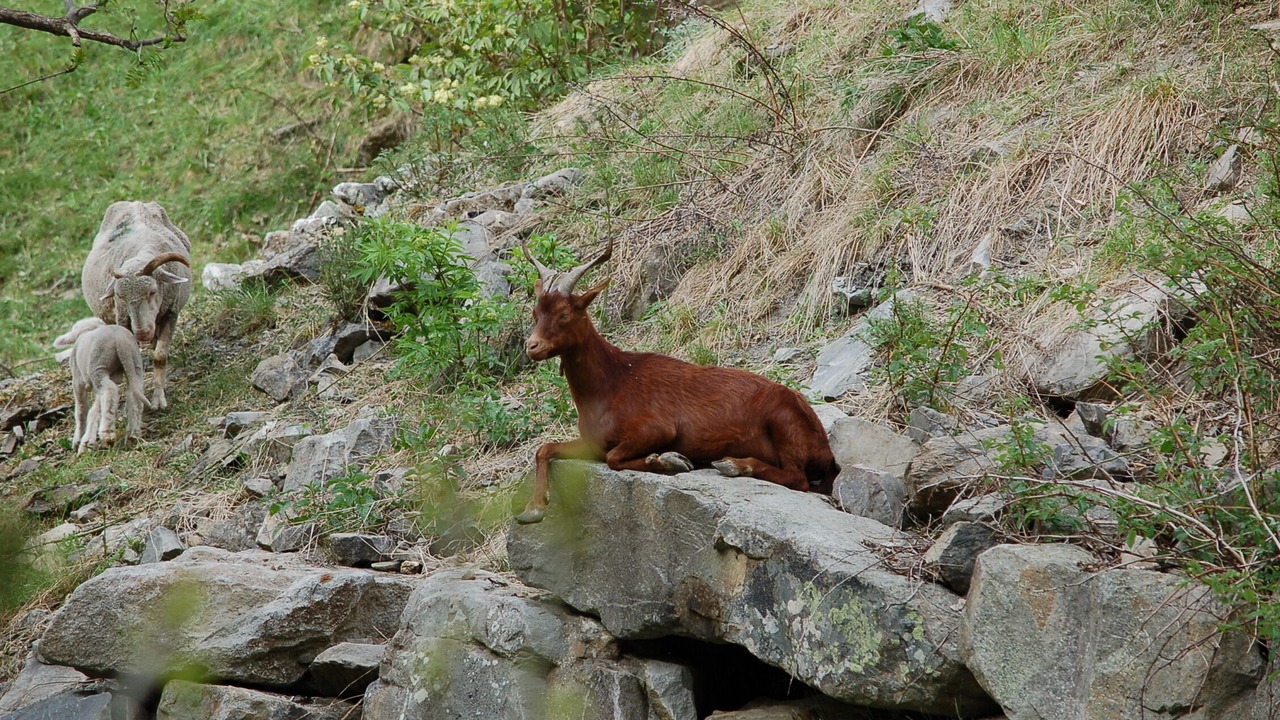 Photo of Outdoor in Ancelle