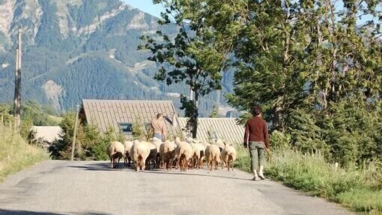 Photo of Others in Ancelle