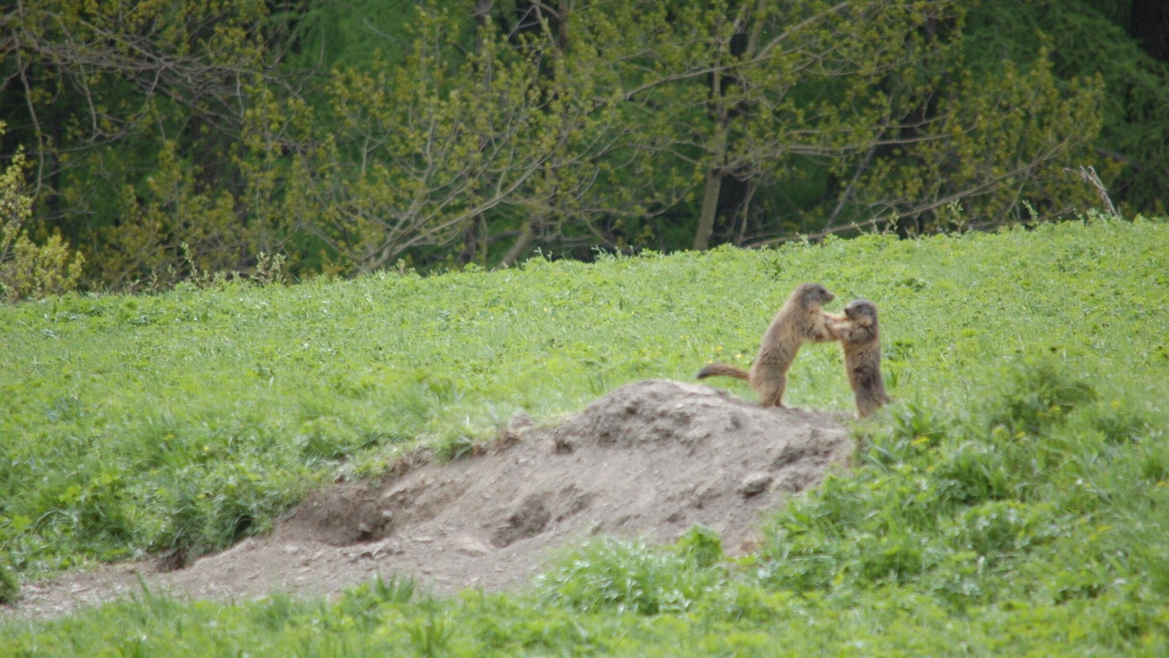 Photo of Outdoor in Ancelle