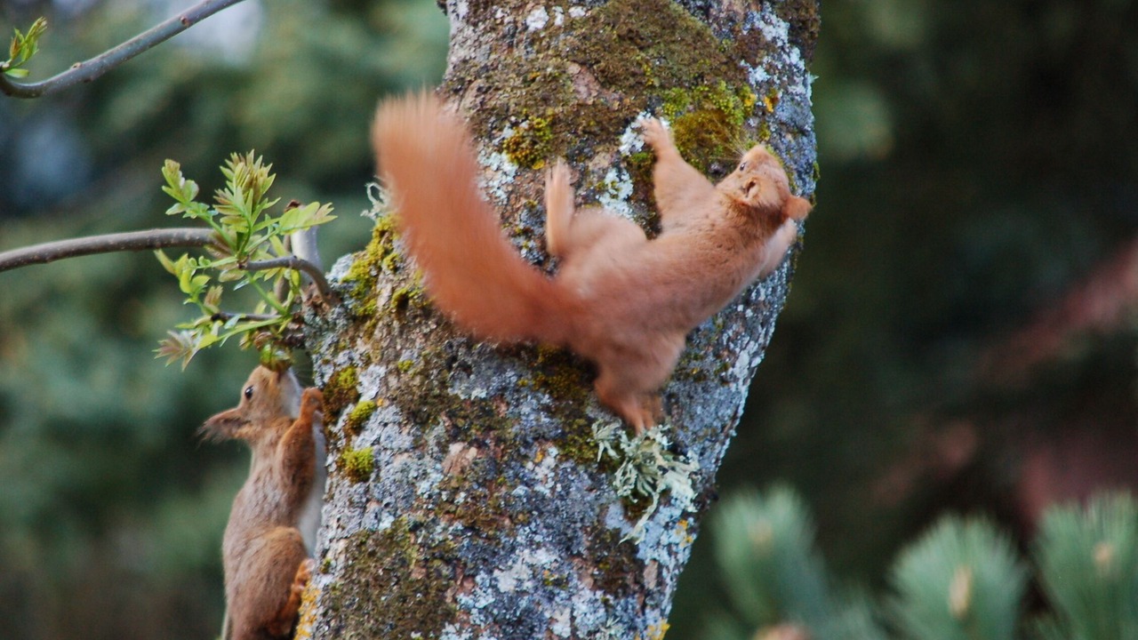 Photo of Outdoor in Ancelle