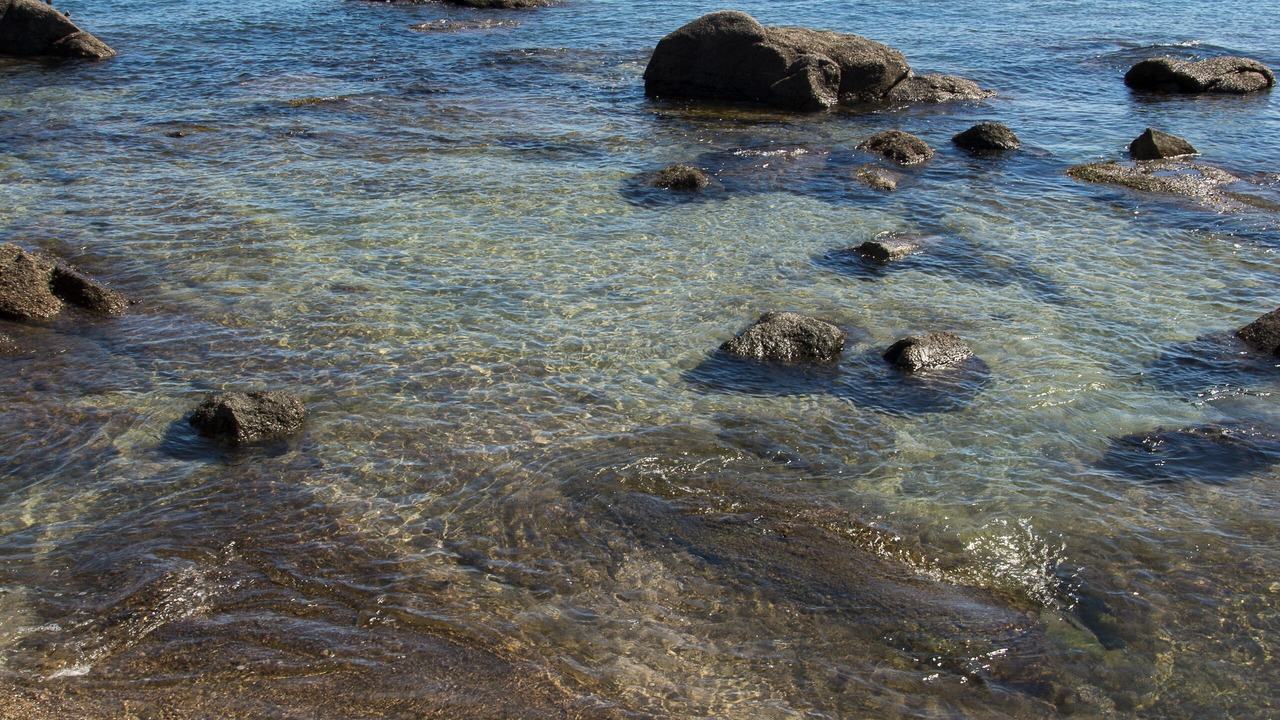 Photo of Others in Vicq-sur-Mer