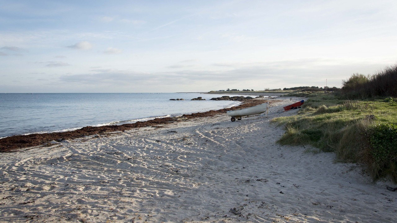 Photo of Others in Vicq-sur-Mer